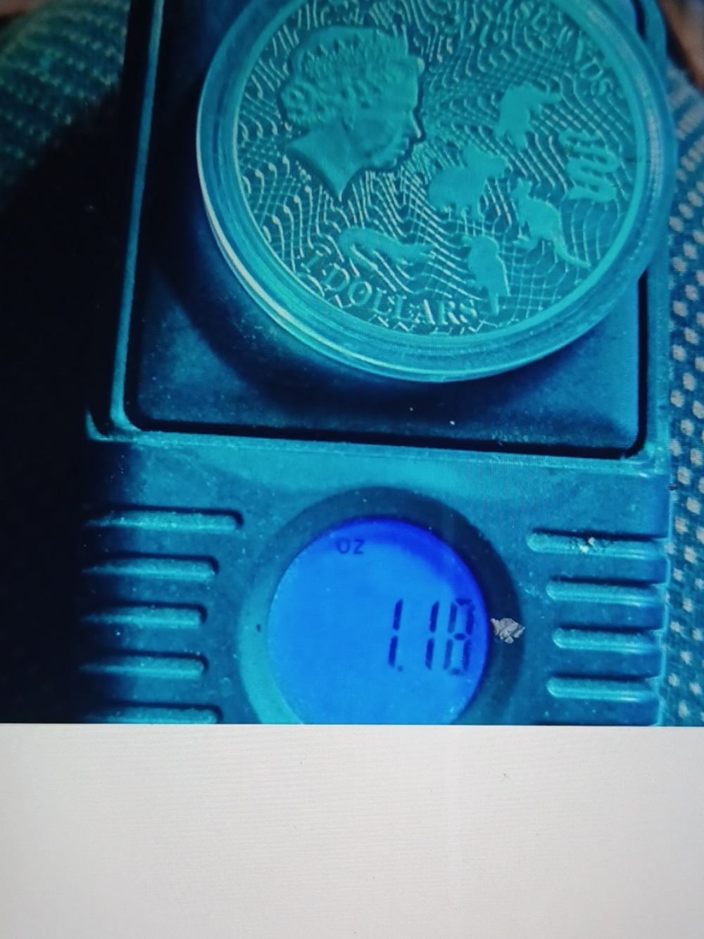 Teal Round Snake Coin on Teal Scale